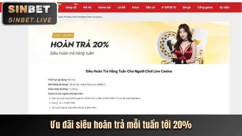 Dữ liệu giao dịch và ưu đãi